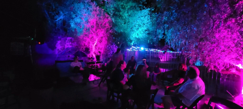 Outdoor evening seating area with guests and trees illuminated in cyan, magenta and violet.